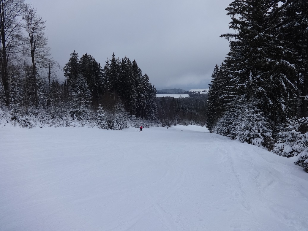 dsc034774tckg.jpg