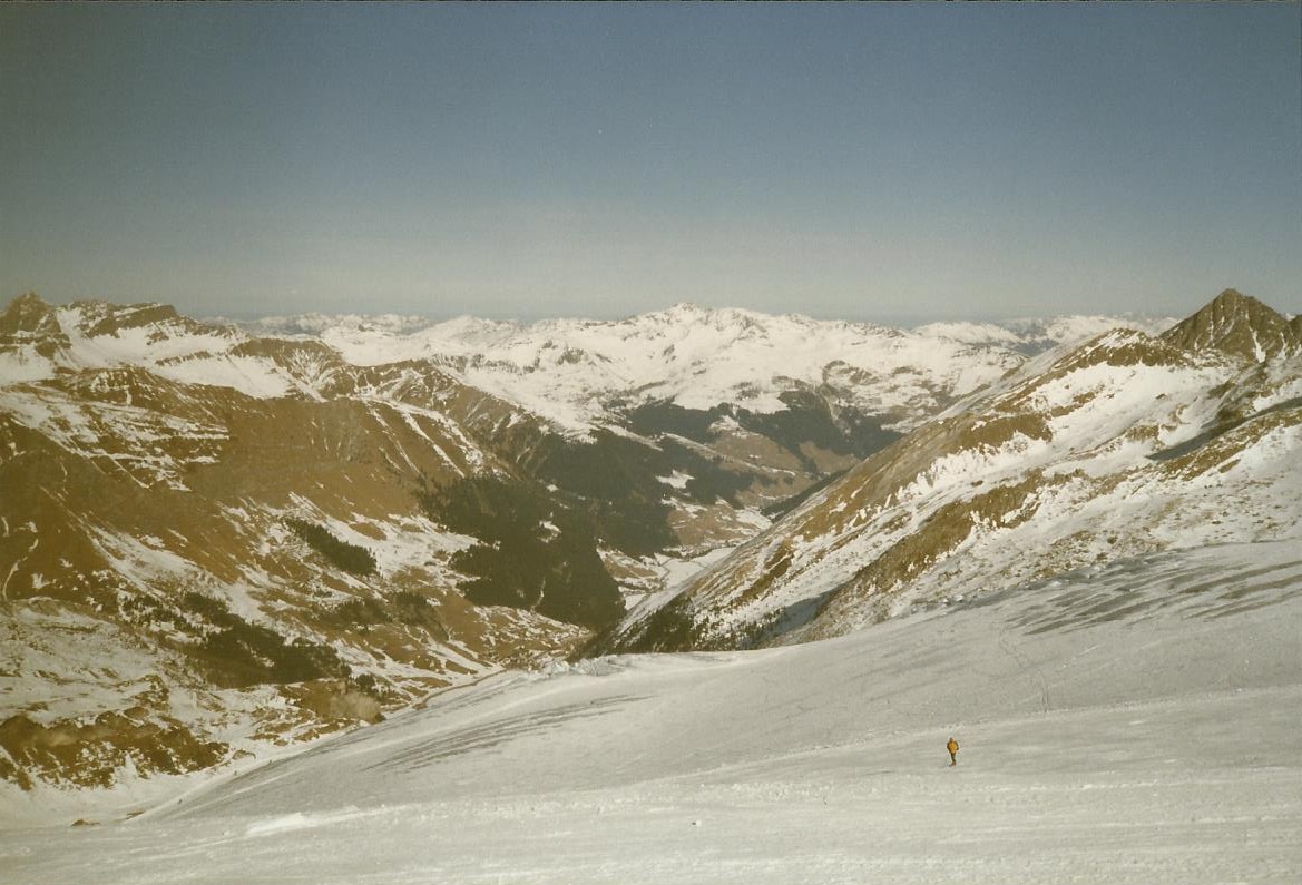 scan4tesno.jpg