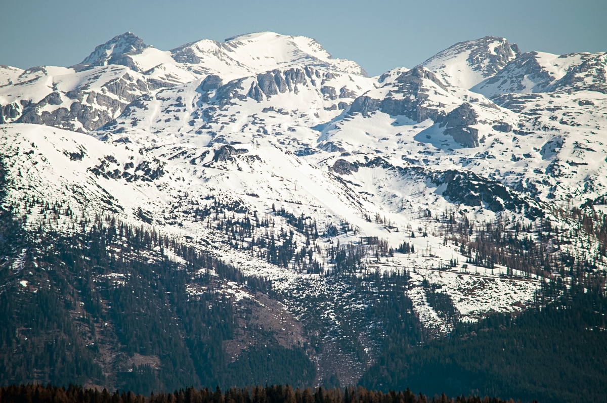 _dsc06985uauh.jpg