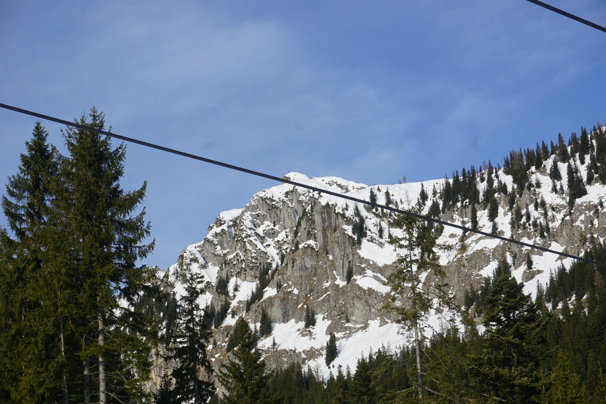 bild15p2s6w.jpg