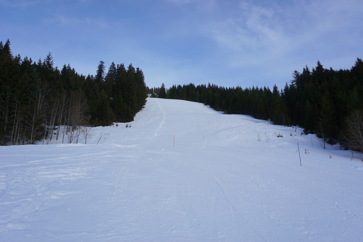 bild21a5jp3.jpg