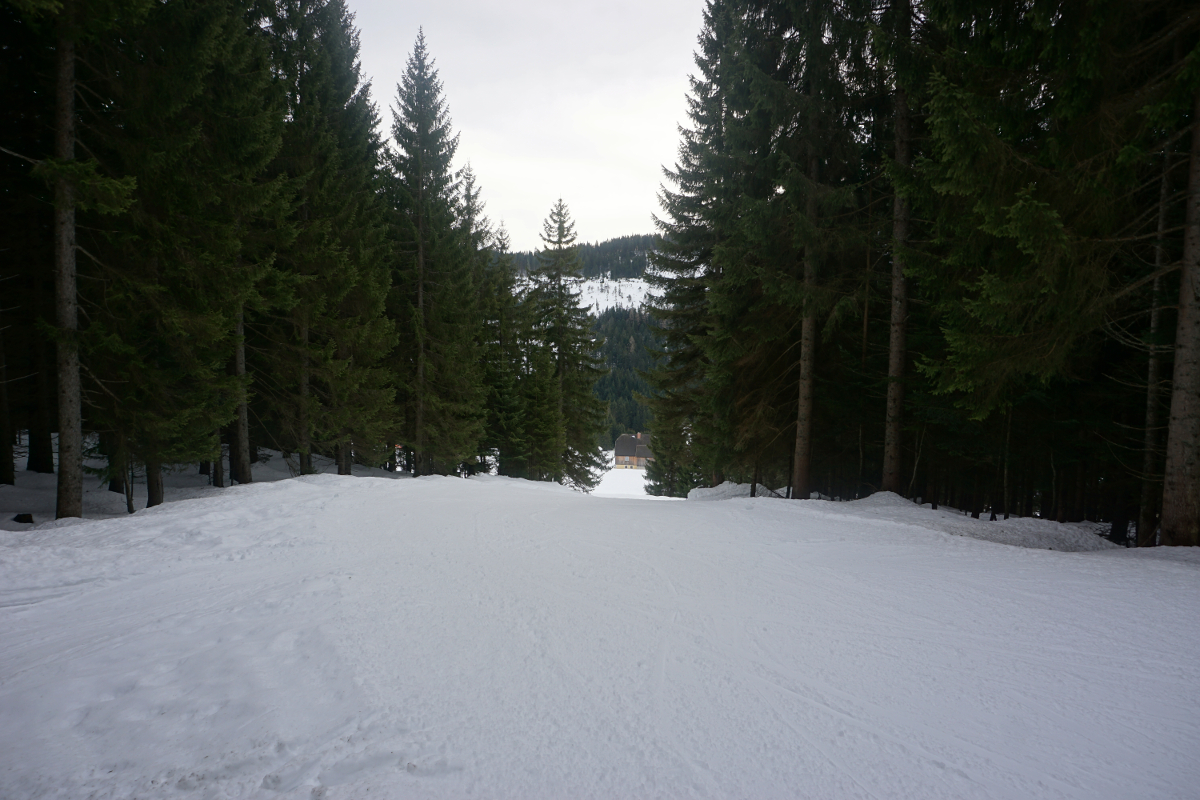 bild2759kdp.jpg