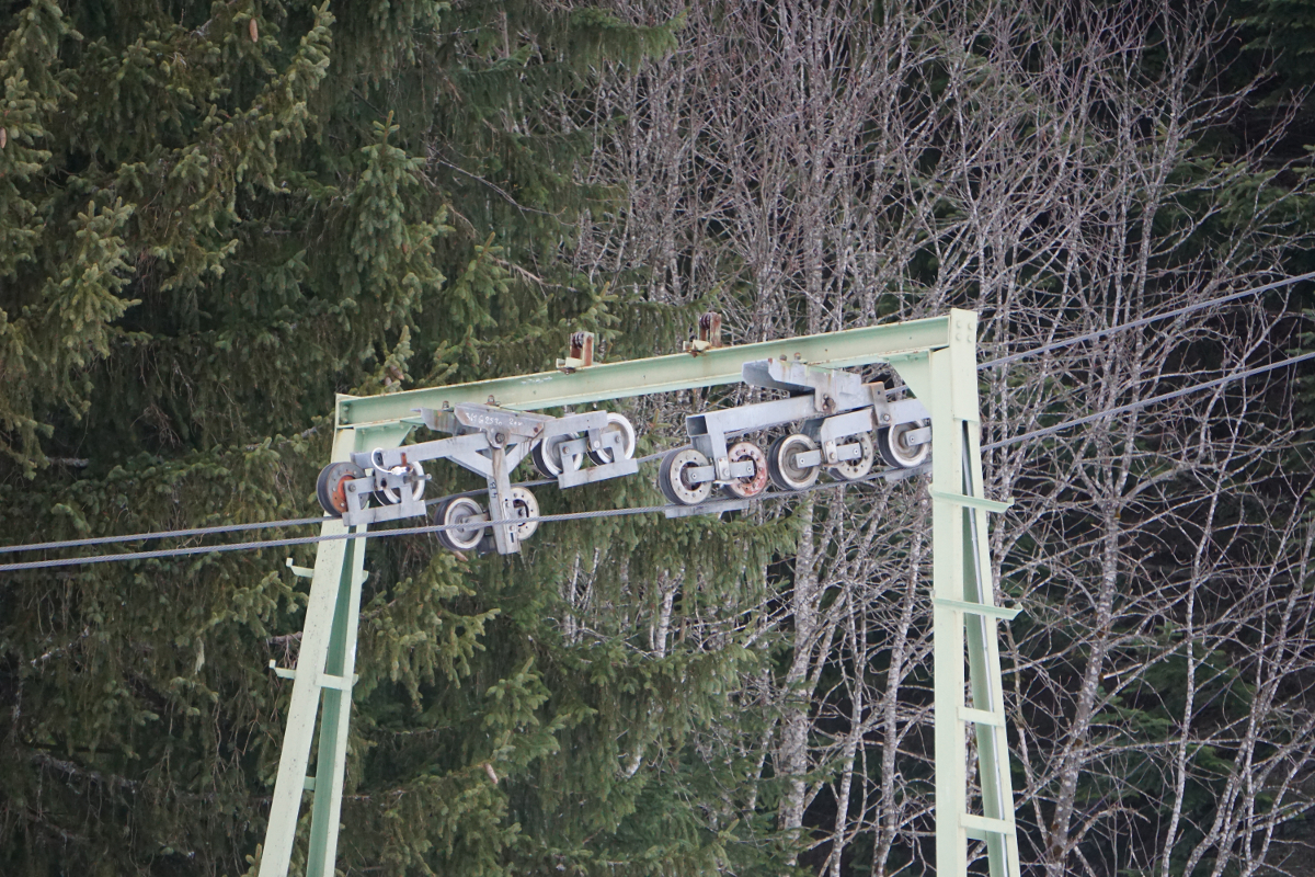 bild40you8x.jpg