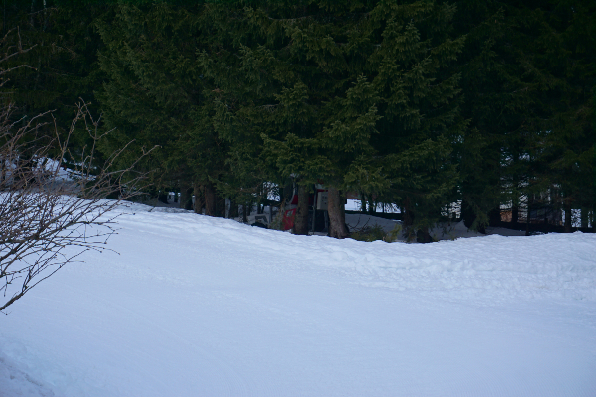 bild627quxp.jpg