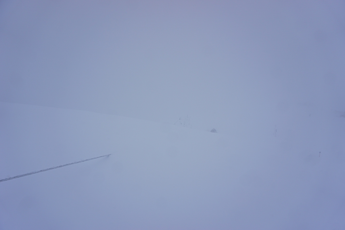 dsc02386pcj2w.jpg