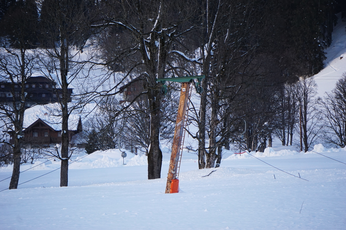 dsc02430ifkql.jpg