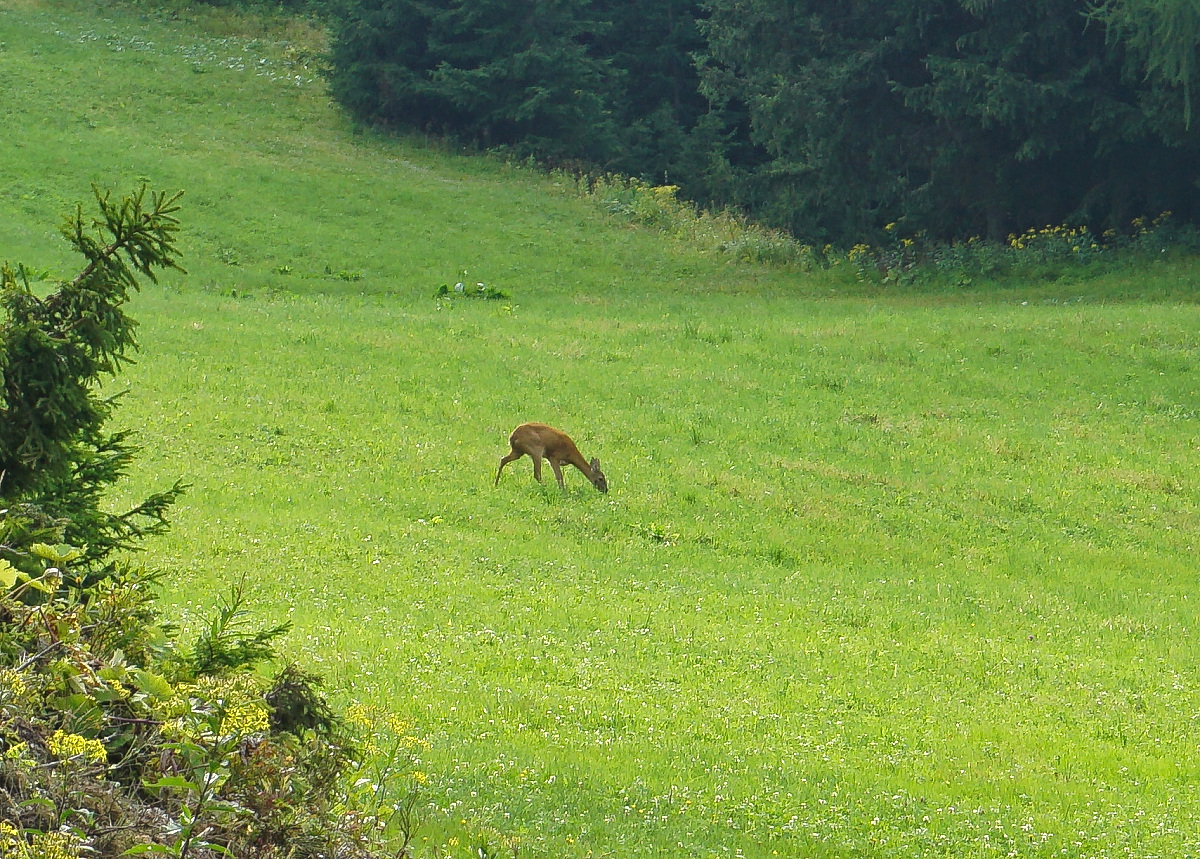 dsc02523o2j2w.jpg