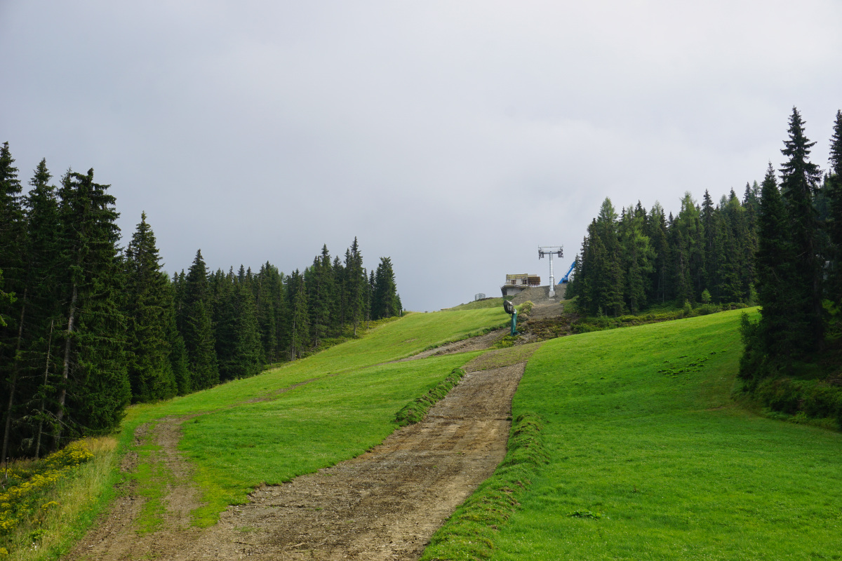 dsc02534qmkpl.jpg