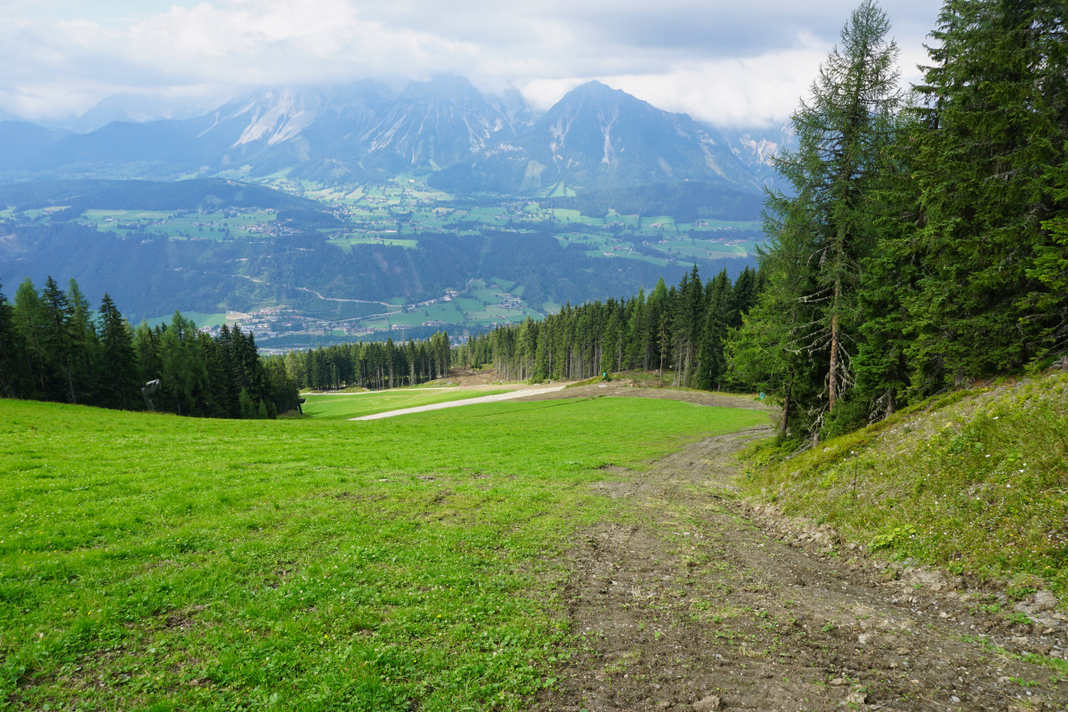 dsc02539m4kl0.jpg