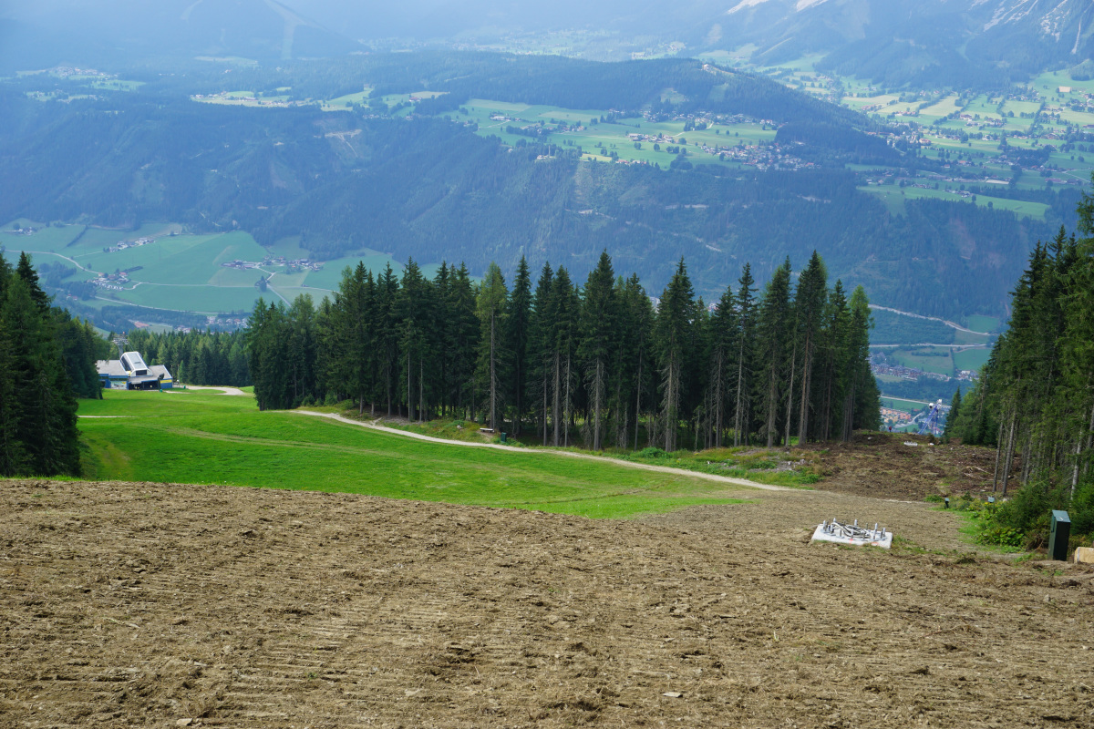 dsc02548ypk74.jpg