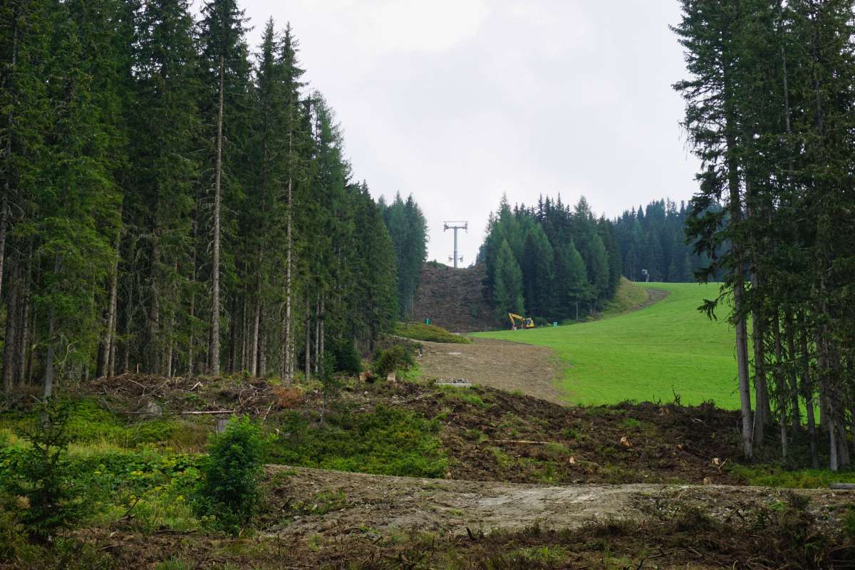 dsc02555rzjcx.jpg