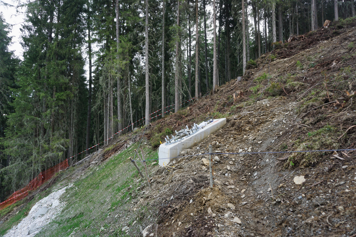 dsc025799lk7e.jpg