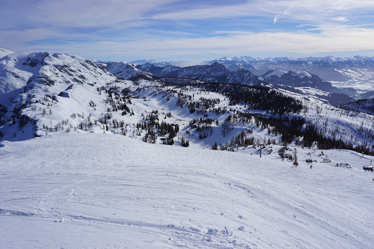 dsc026107mkqd.jpg