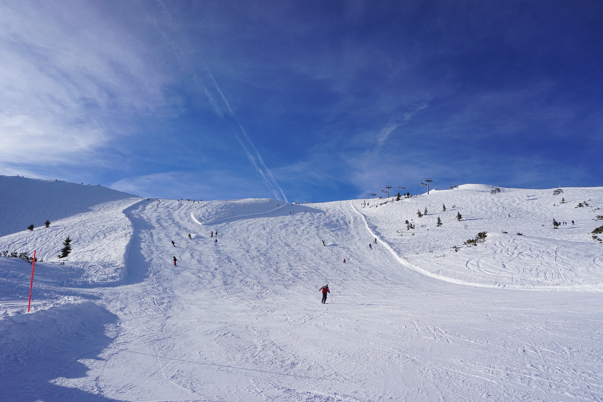 dsc02651cajnp.jpg