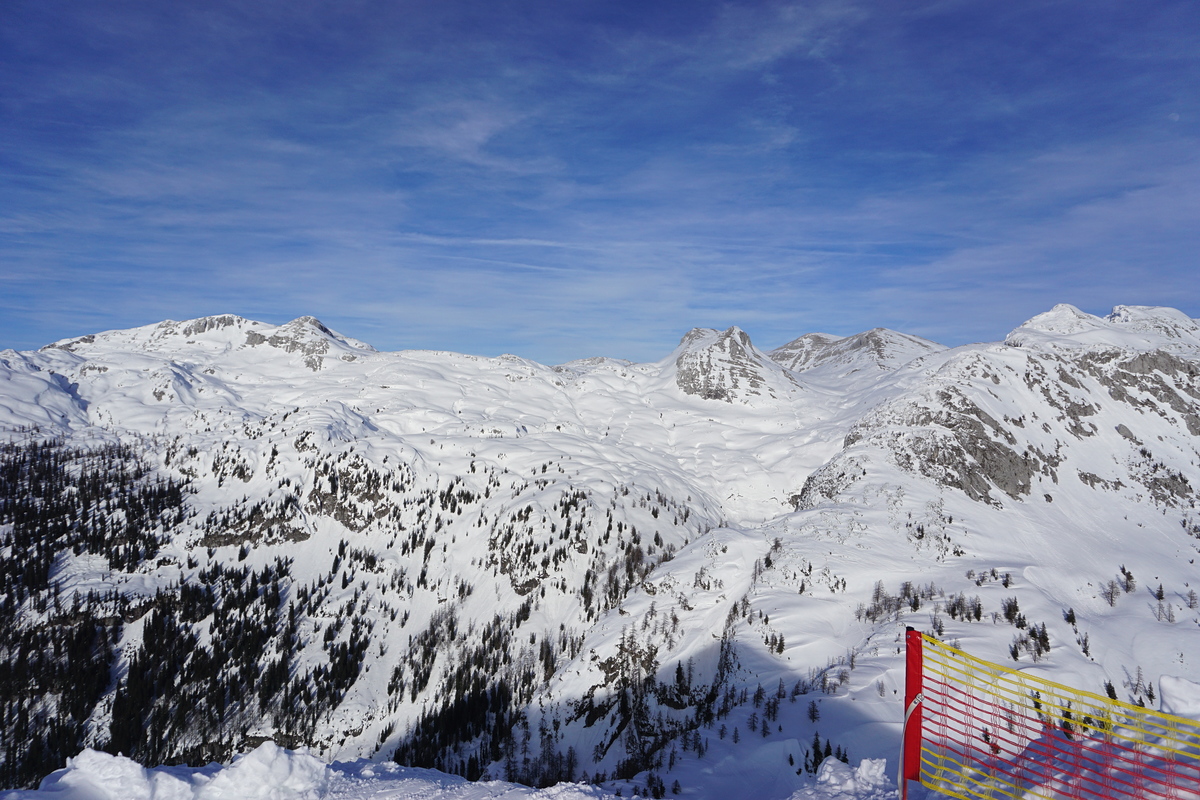 dsc02662x5jnn.jpg