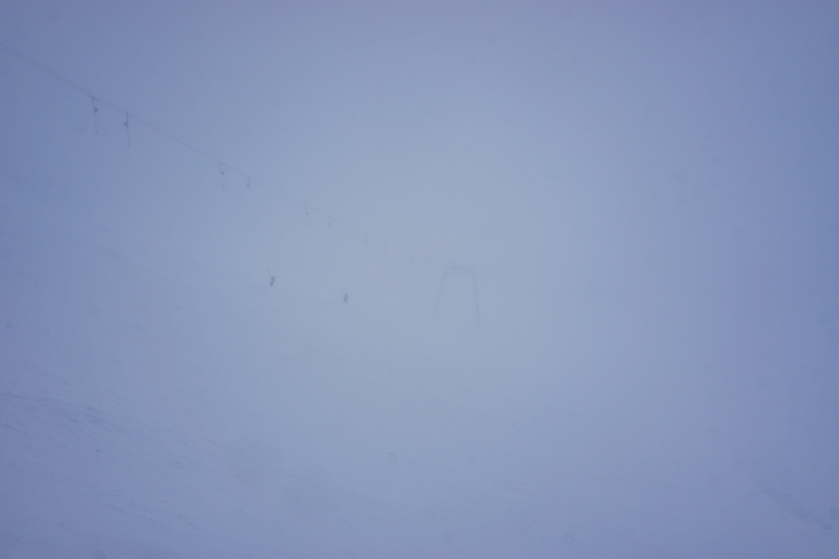 dsc02890f6kgw.jpg