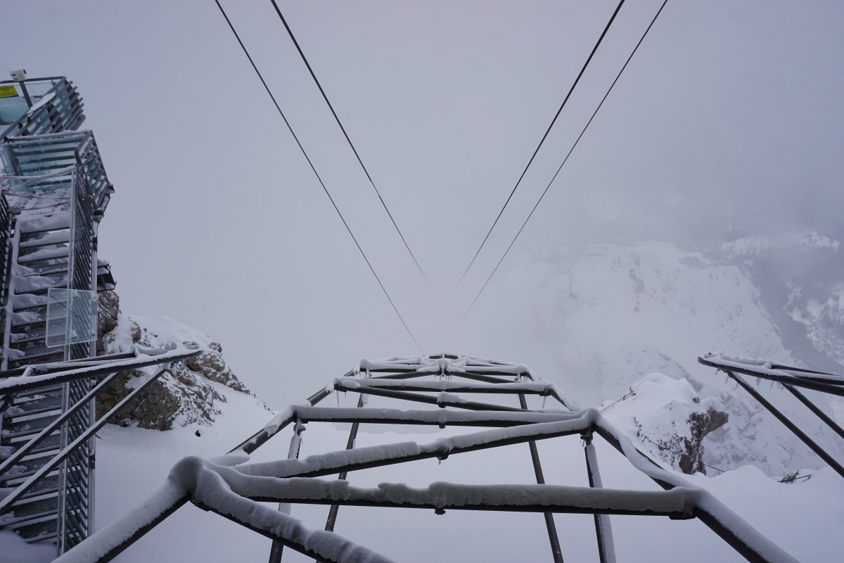 dsc02909qrkmp.jpg