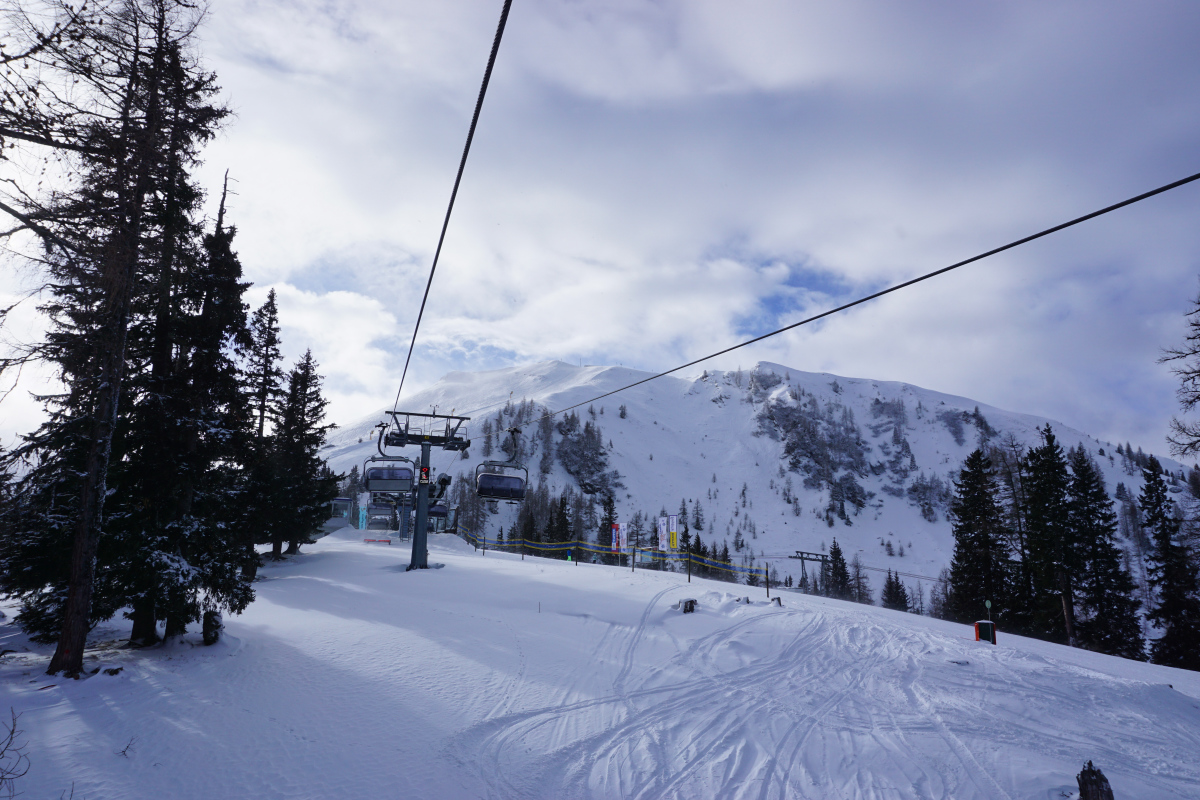 dsc04176v5k8l.jpg