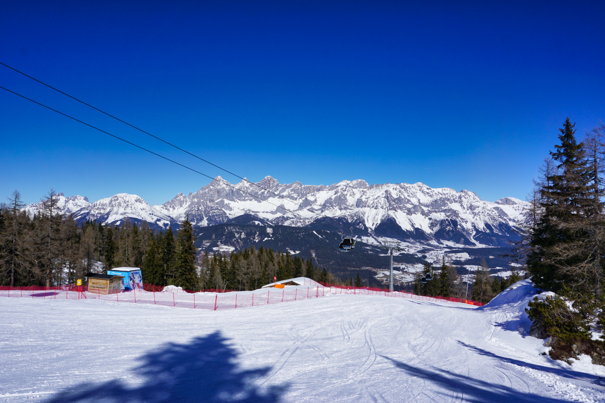 dsc04999qlj9u.jpg