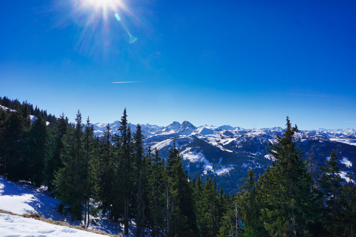 dsc05018l1khv.jpg