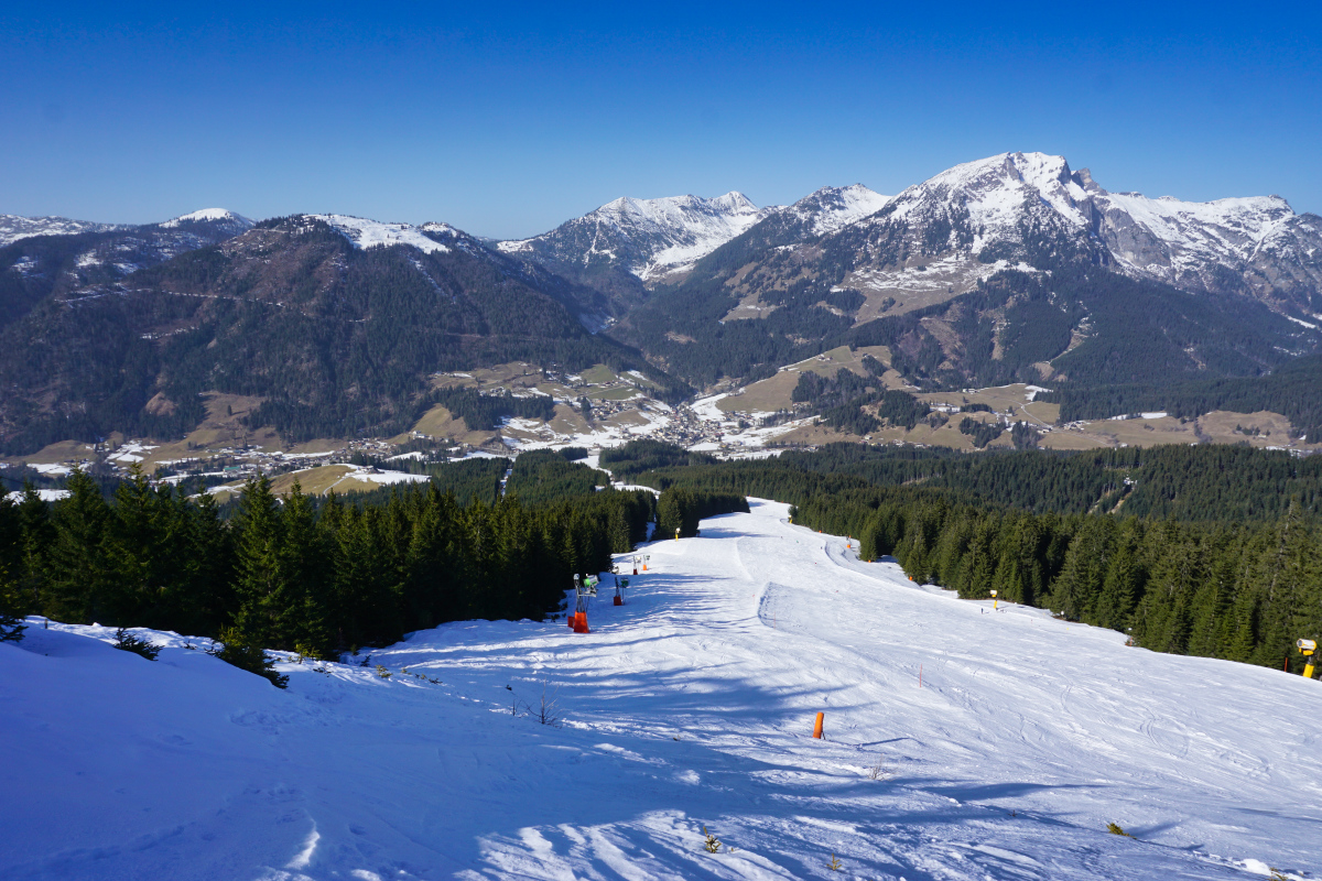 dsc050864vk05.jpg