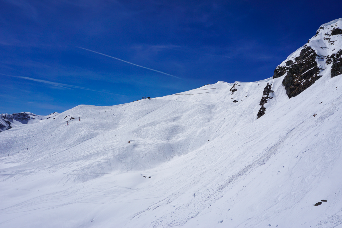 dsc058849bj5y.jpg