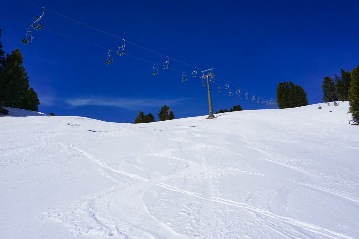 dsc05903e0kp8.jpg