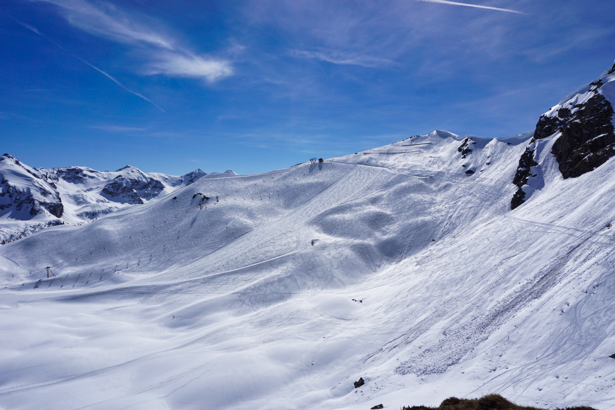 dsc05910hgjhj.jpg