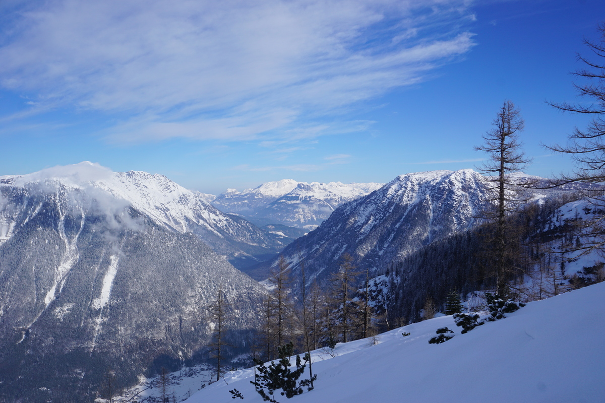 dsc06102mqu0j.jpg