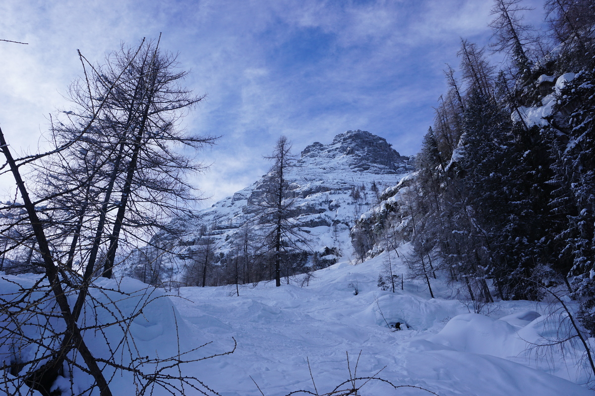dsc06113lyuzk.jpg
