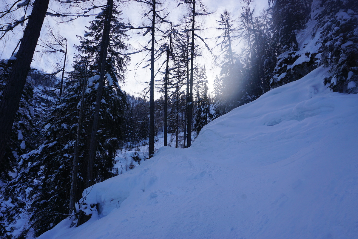 dsc06115htpg3.jpg