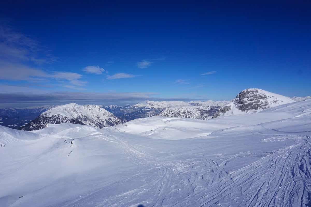dsc06210v5rro.jpg