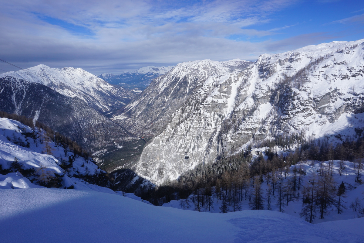 dsc062378nuev.jpg