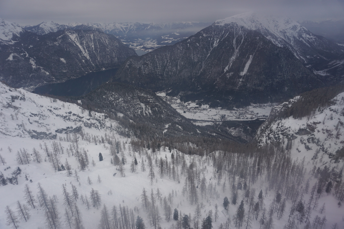dsc06323vdrrd.jpg