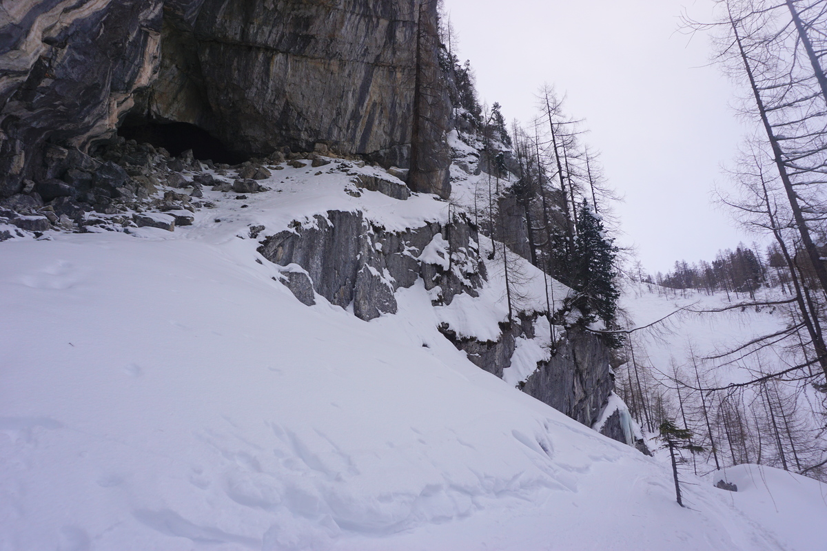 dsc063482fpq6.jpg