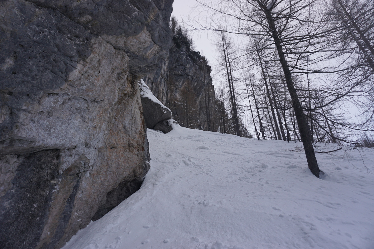 dsc06354b1qwb.jpg