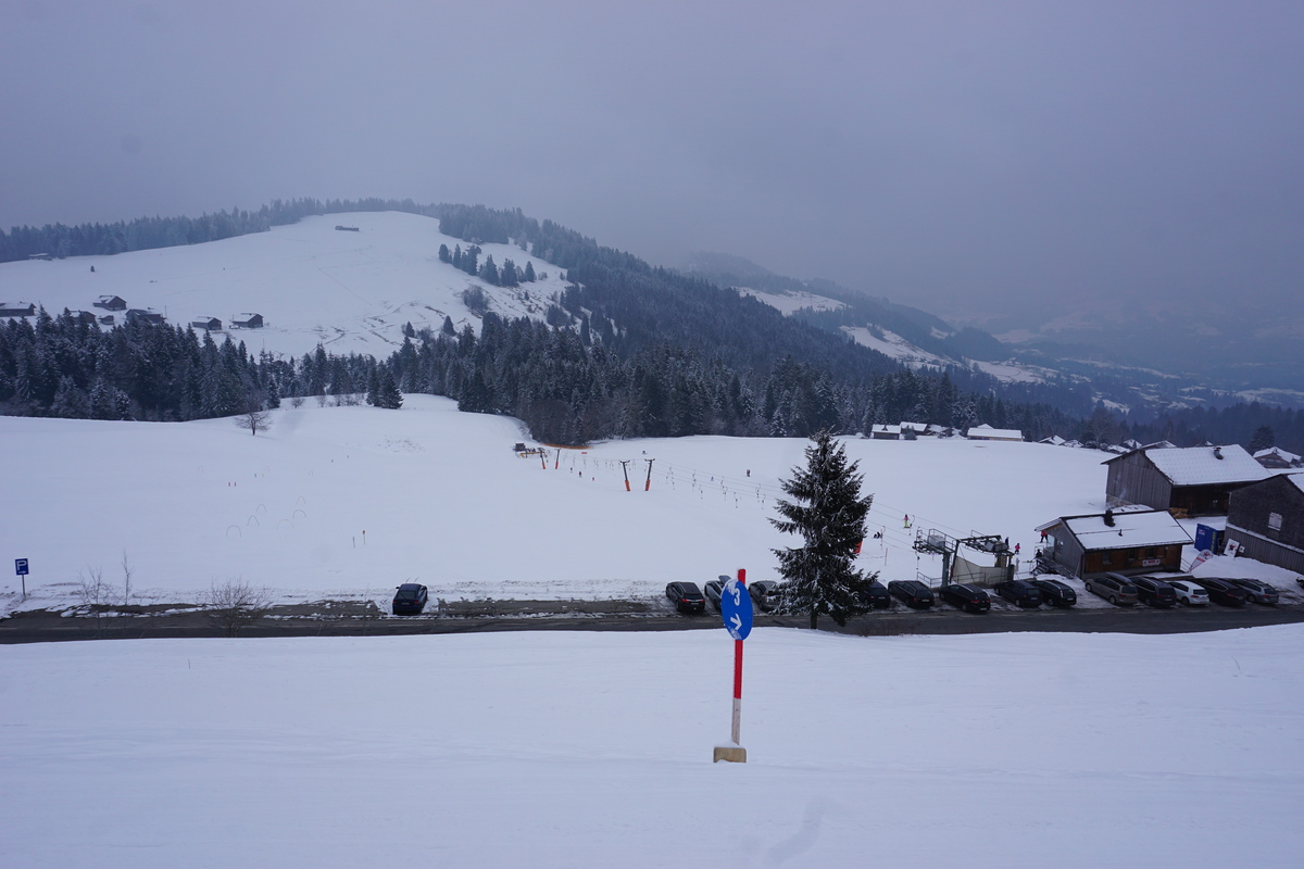 dsc065104lk8h.jpg