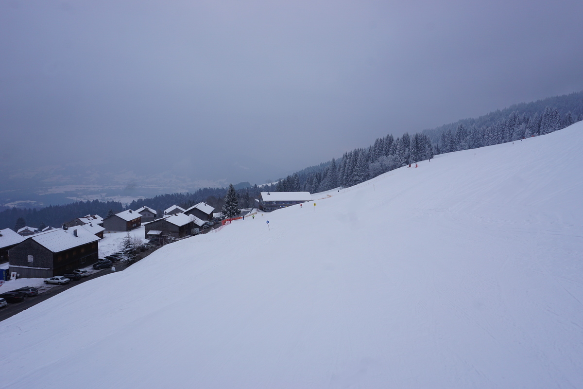 dsc06511xkk2a.jpg