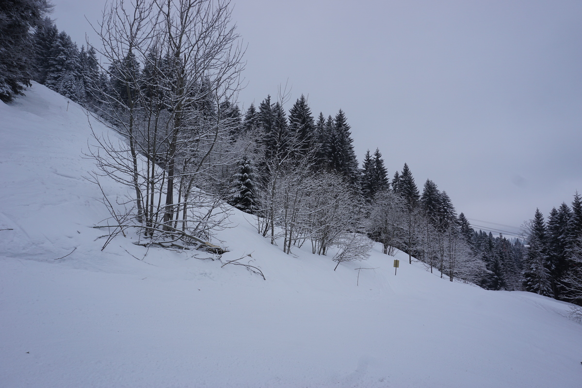 dsc06528z1kh0.jpg