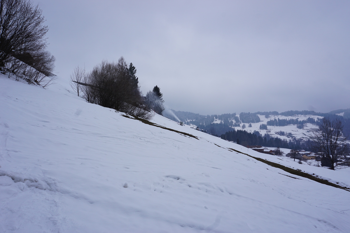 dsc0654244kbk.jpg