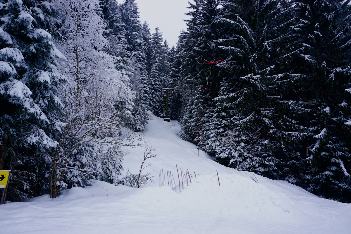 dsc065579bksi.jpg