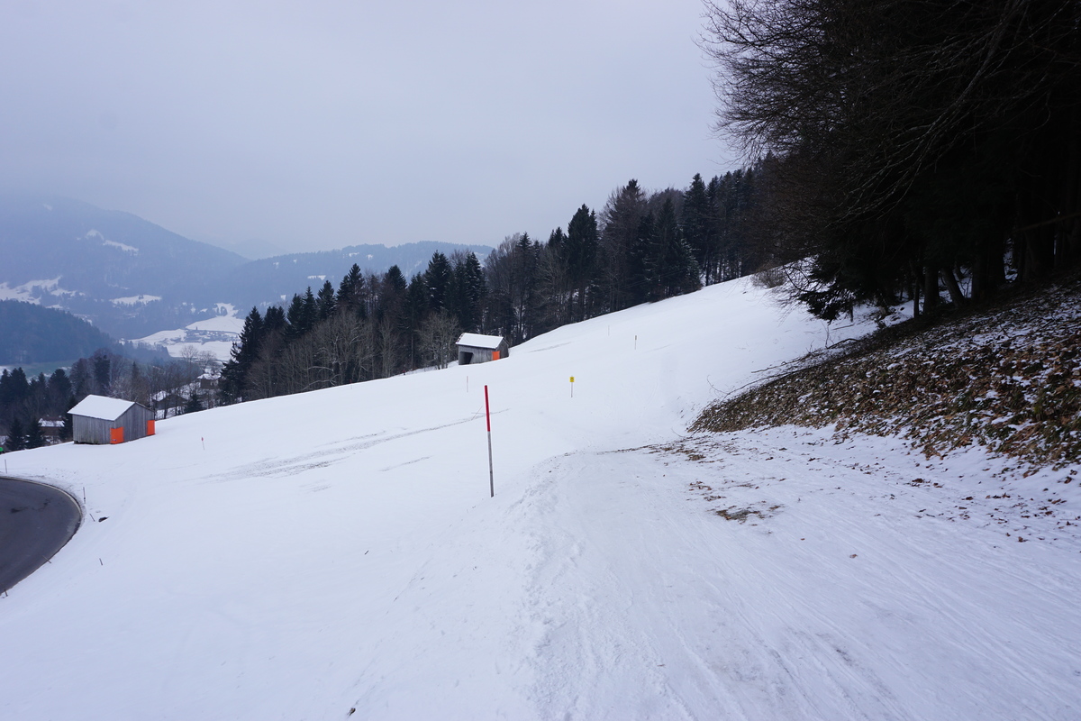 dsc06593fsj1c.jpg
