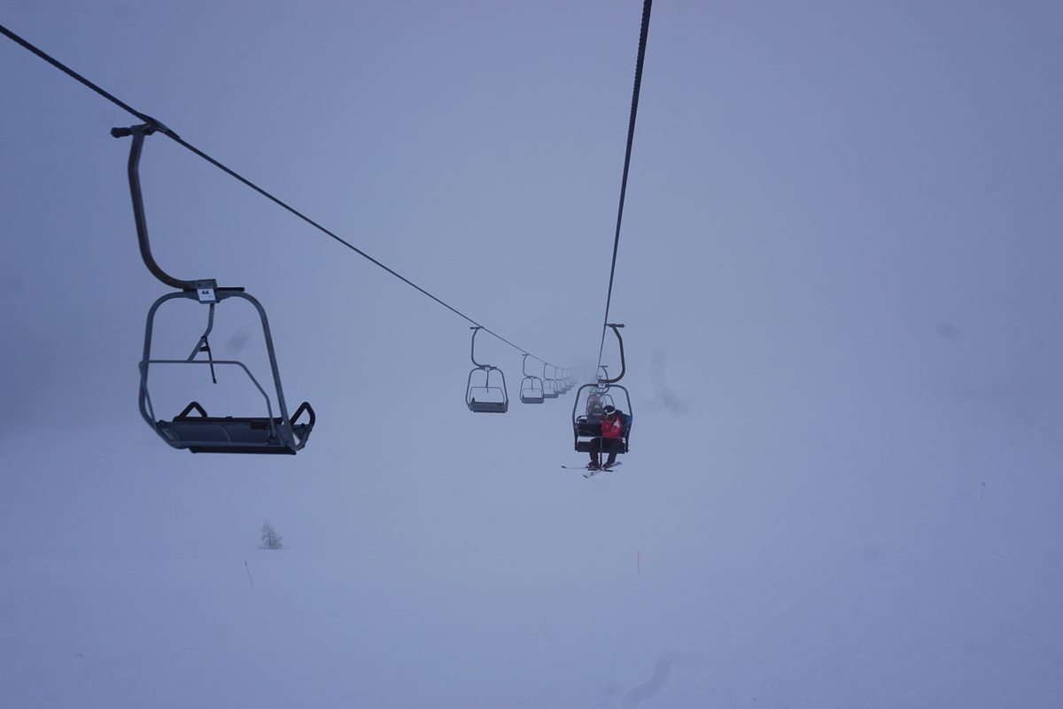 dsc06604t8jmt.jpg