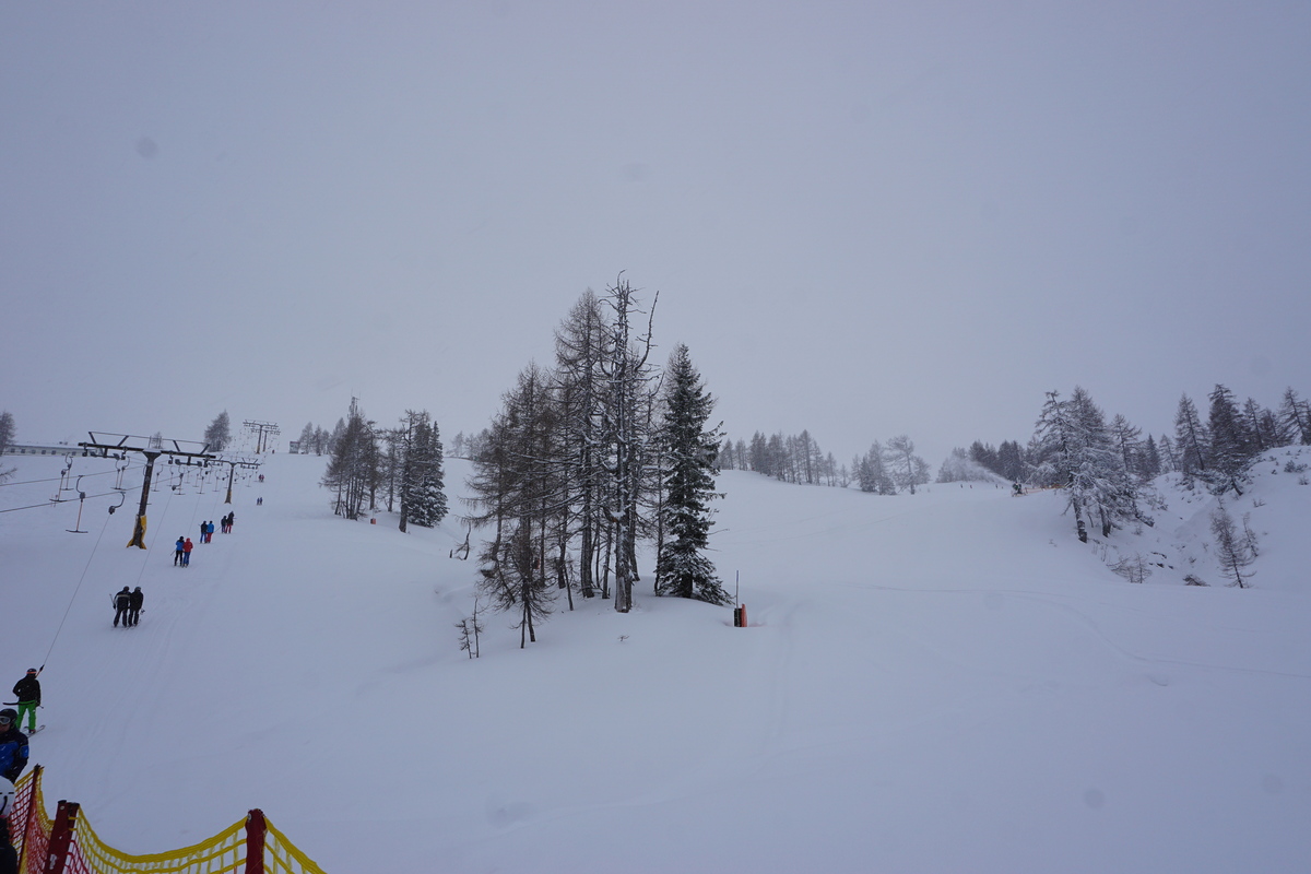dsc08361bdkbh.jpg