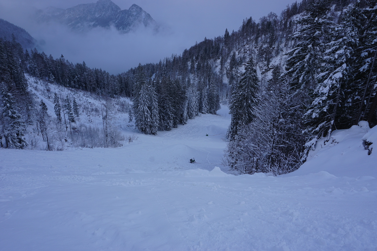 dsc083643xjr1.jpg
