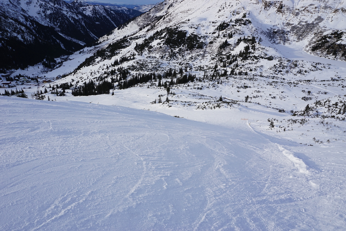 dsc08470jujbx.jpg