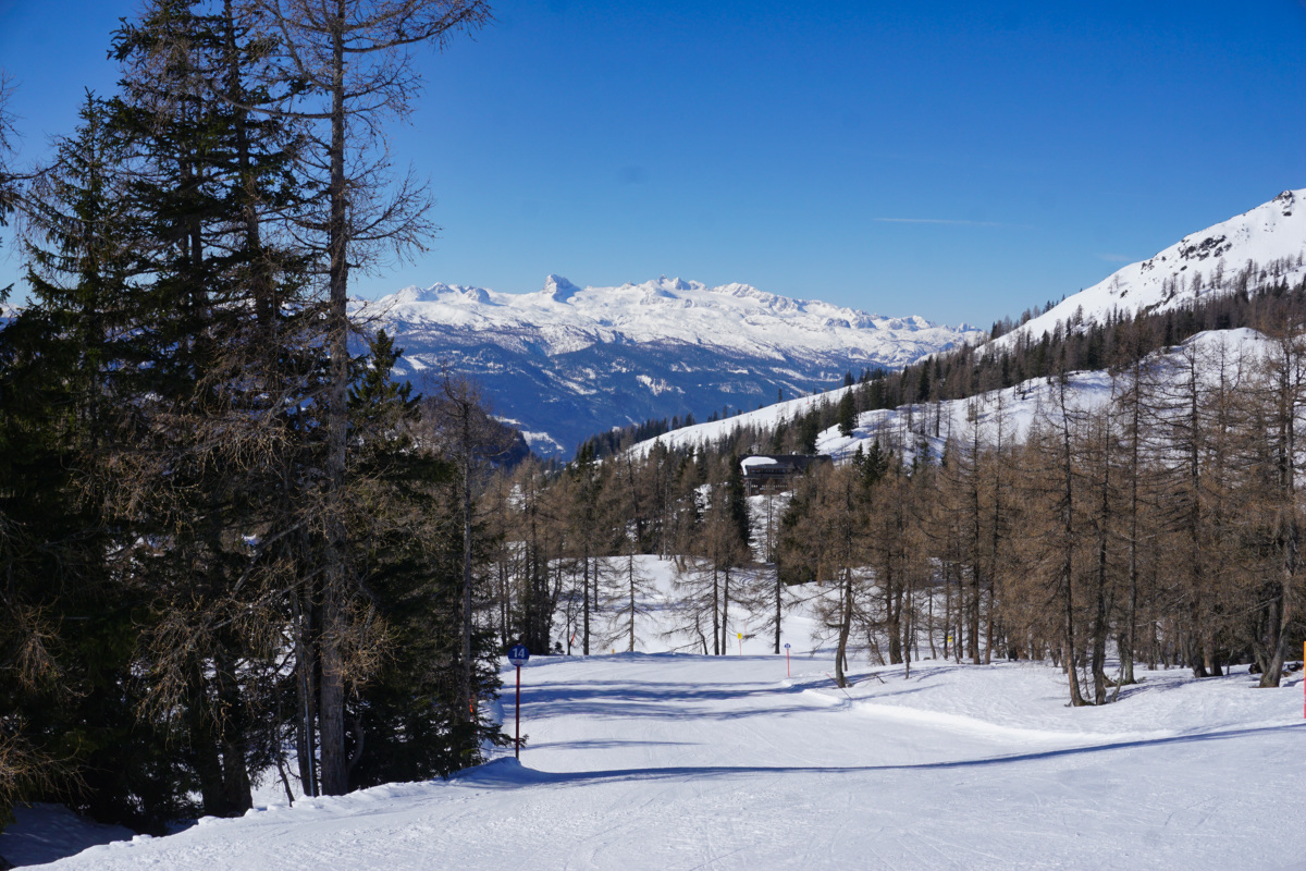 dsc09833npkag.jpg