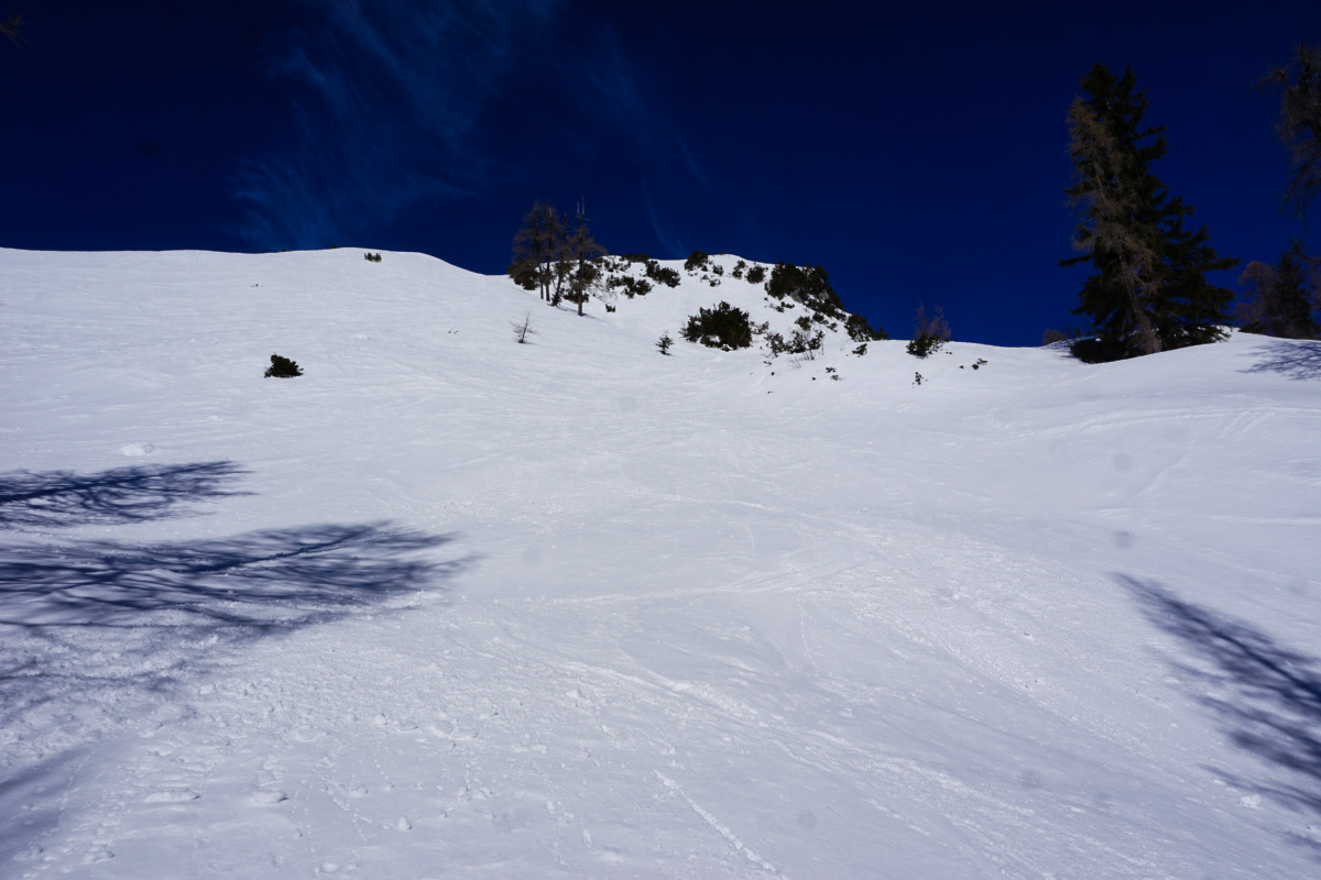 dsc09852b5jqk.jpg