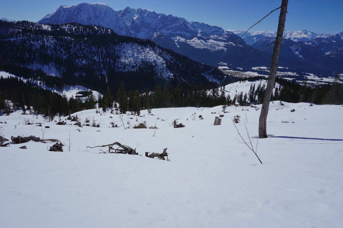 dsc098533bkxg.jpg