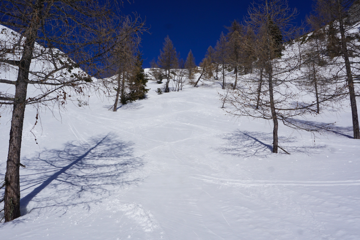 dsc09857ttkw2.jpg